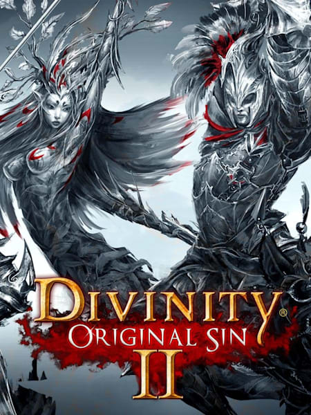 Divinity: Original Sin 2