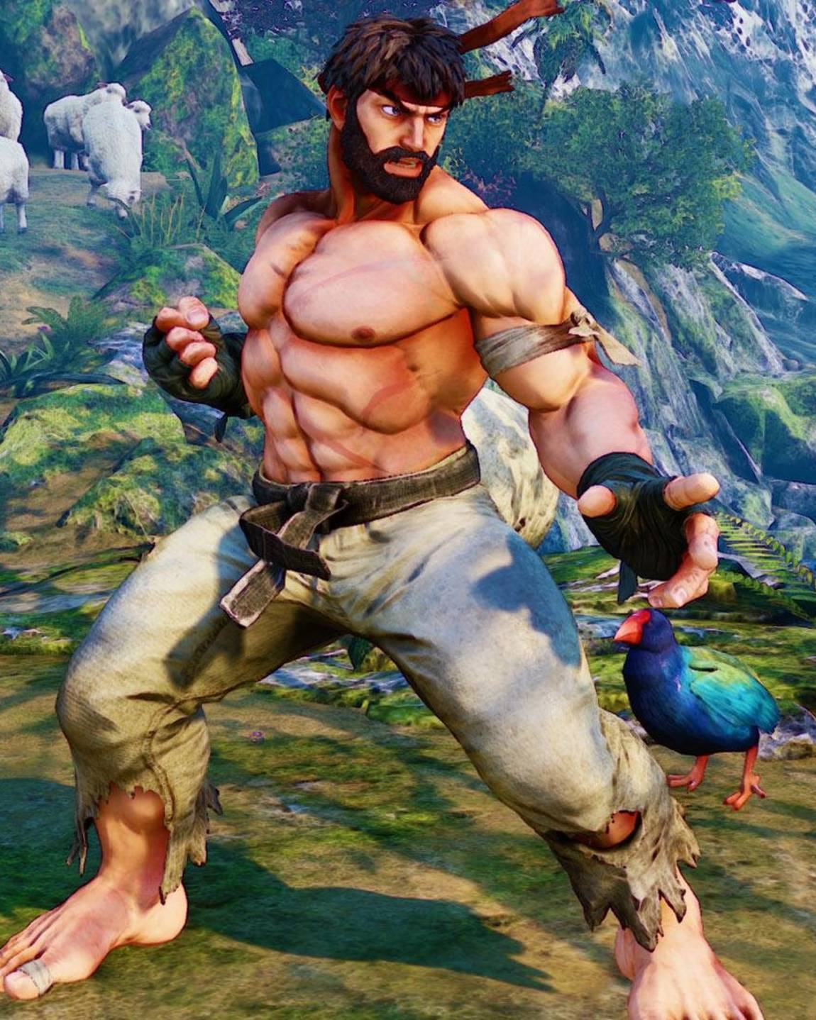 Gamer Fitness Workout Fur Zuhause