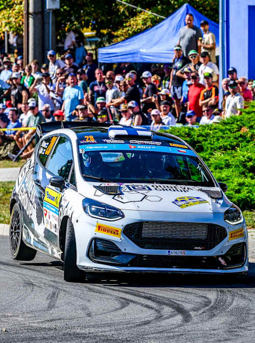 Ville Vatanen