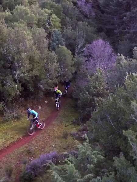 Lines We Ride