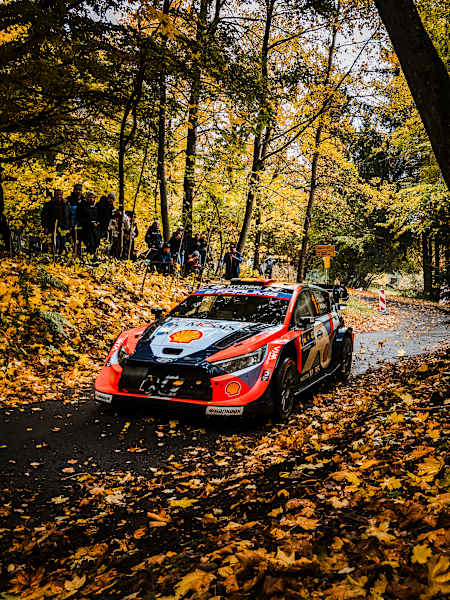 Thierry NEUVILLE