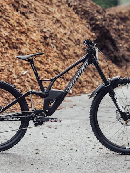 Specialized downhill 2021 store