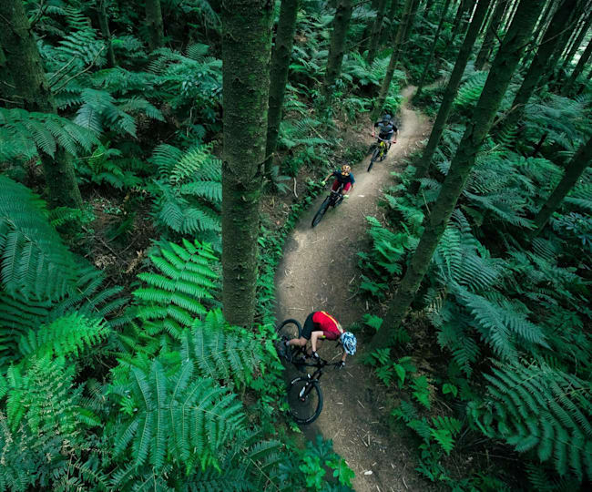 Sendero bicicleta clearance