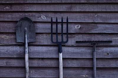 A shovel, pitchfork and rake.