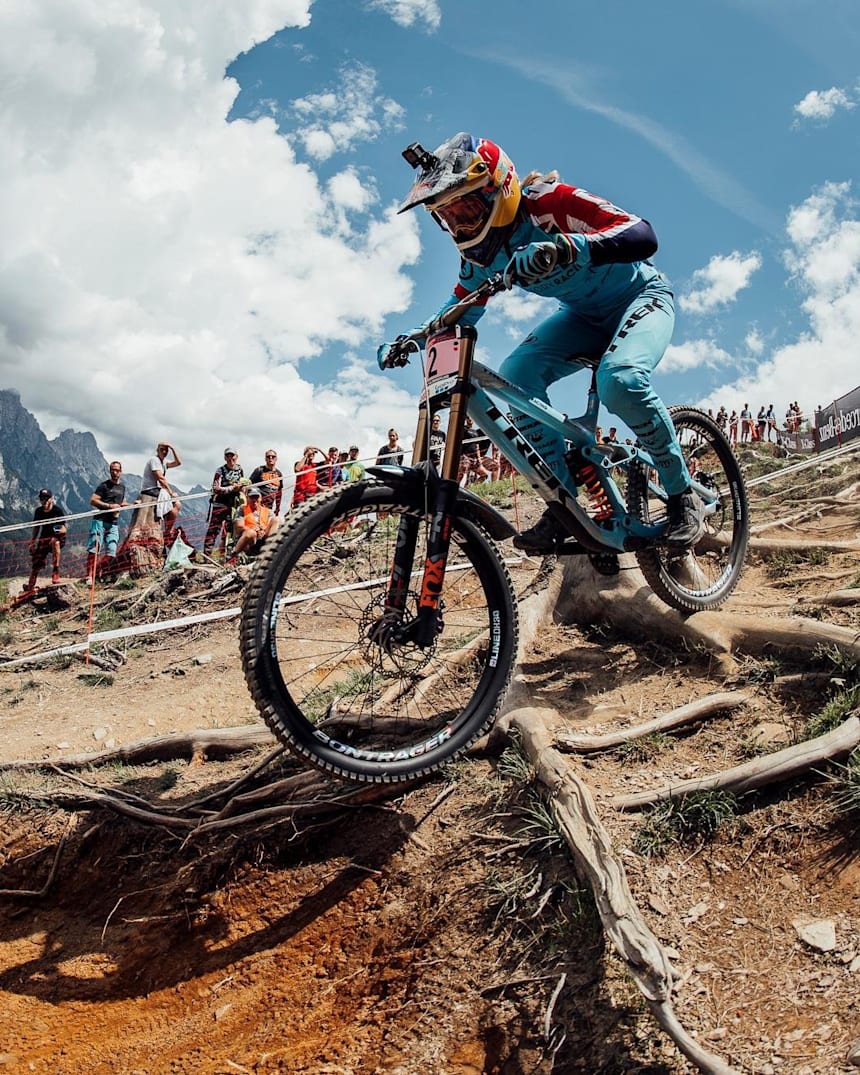 uci dh rankings