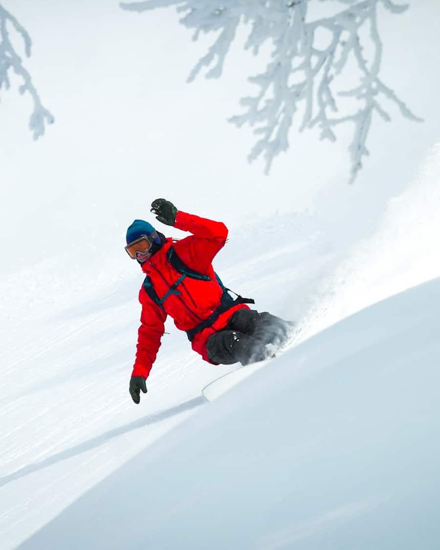 Snowsurfing new arrivals
