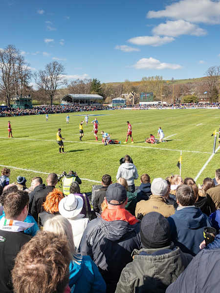 Melrose 7s
