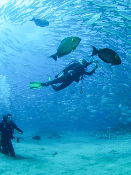 Divers observing marine life in the waters around Cabo Pulmo in Mexico.
