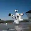 ¡Una vaca volando!