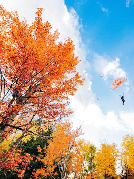 Jeff Provenzano vuela los árboles durante el Fall Swoopers en Vermont, EE.UU., el 10 de octubre de 2018.