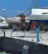 Bunny Hop στη Λευκάδα