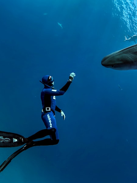 Vor Südafrika ließ sich Frolla 2007 mit diesem Tigerhai fotografieren.
