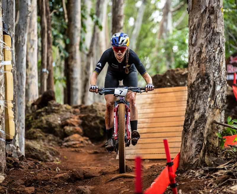 Red Bull Rampage 2023】マウンテンバイク セットアップ解説 |設定