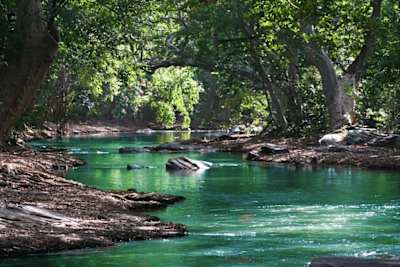 El ruido que generamos provoca un enorme daño en la naturaleza.