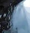 Foto: Will Gadd pod vodopádem Helmcken v Kanadě
