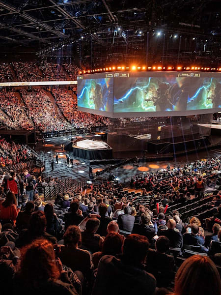 An image of the League of Legends World Championship 2019 final crowd.