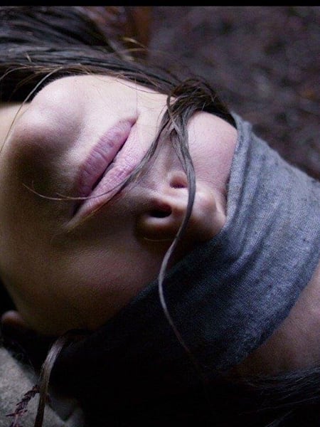 Bird Box