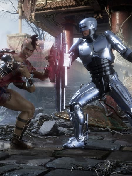 Mortal Kombat 11 Aftermath