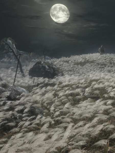 Screenshot of characters in a field in Sekiro: Shadows Die Twice