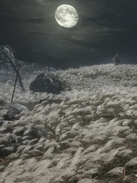 Screenshot of characters in a field in Sekiro: Shadows Die Twice
