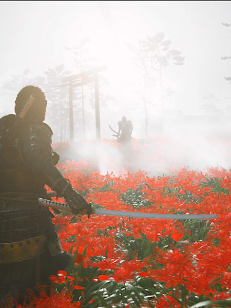 Descubre Ghost of Tsushima