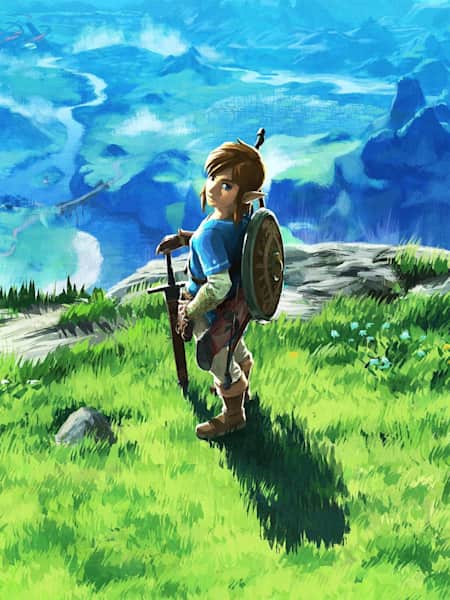 Box art from The Legend of Zelda: Breath of the Wild.