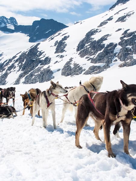 Adventure events you need to attend in 2019