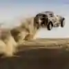 Flying high: Nasser Al-Attiyah's MINI