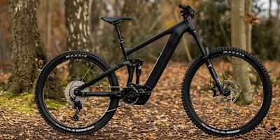 Vitus E-Sommet VR