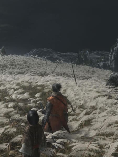 Screenshot of characters in a field in Sekiro: Shadows Die Twice