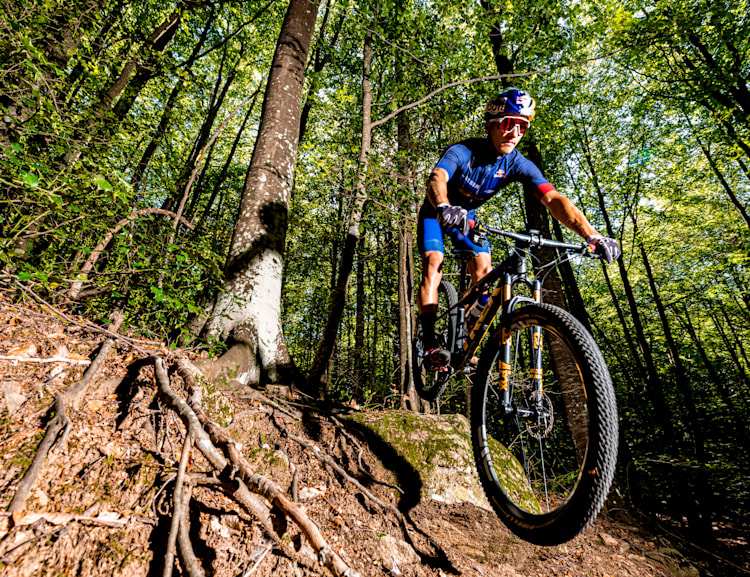 bike world