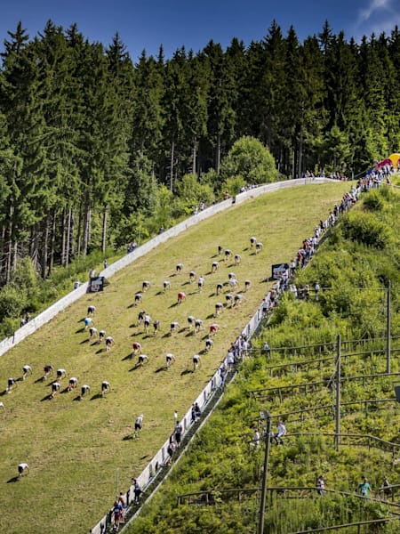 Red Bull 400 About Image 2017 Red Bull 400 About Image 2017