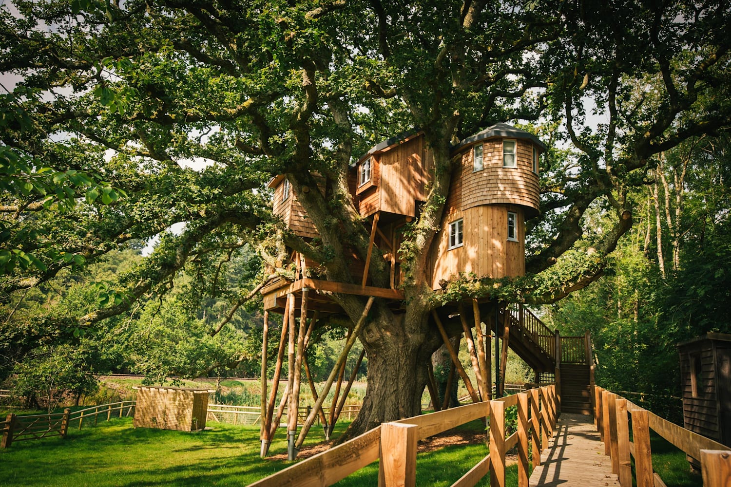 Best treehouse  hotels in the UK 10 for a weekend away