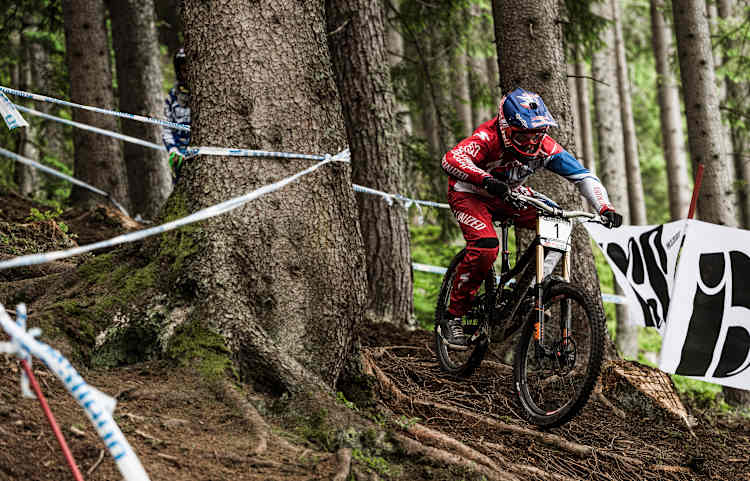 Aaron gwin specialized deals
