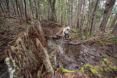Competitor climbs across log in forest stream in Race the Planet Patagonia.