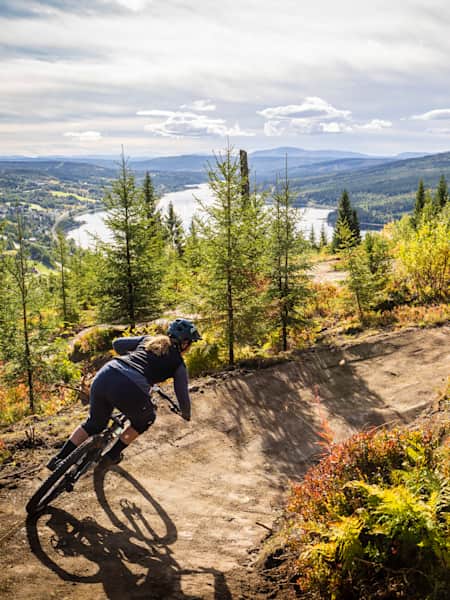 Difference between xc and trail mtb sales