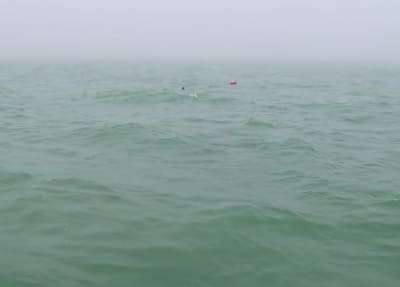 Sea mist hinders Ross's ability to see where he's going