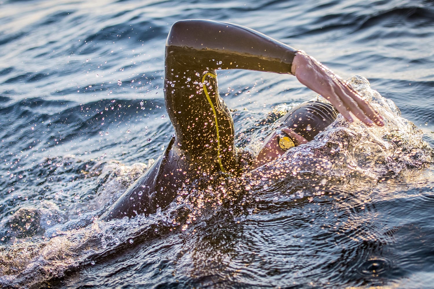 Open Water Swimming Why Science Says It S Great