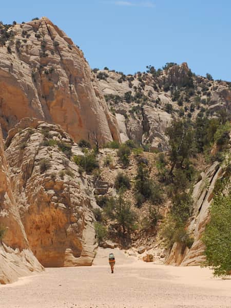 Best Hikes In The US: 5 hidden trails to explore
