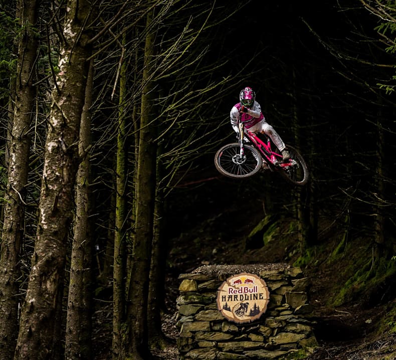 red bull mountain bike price
