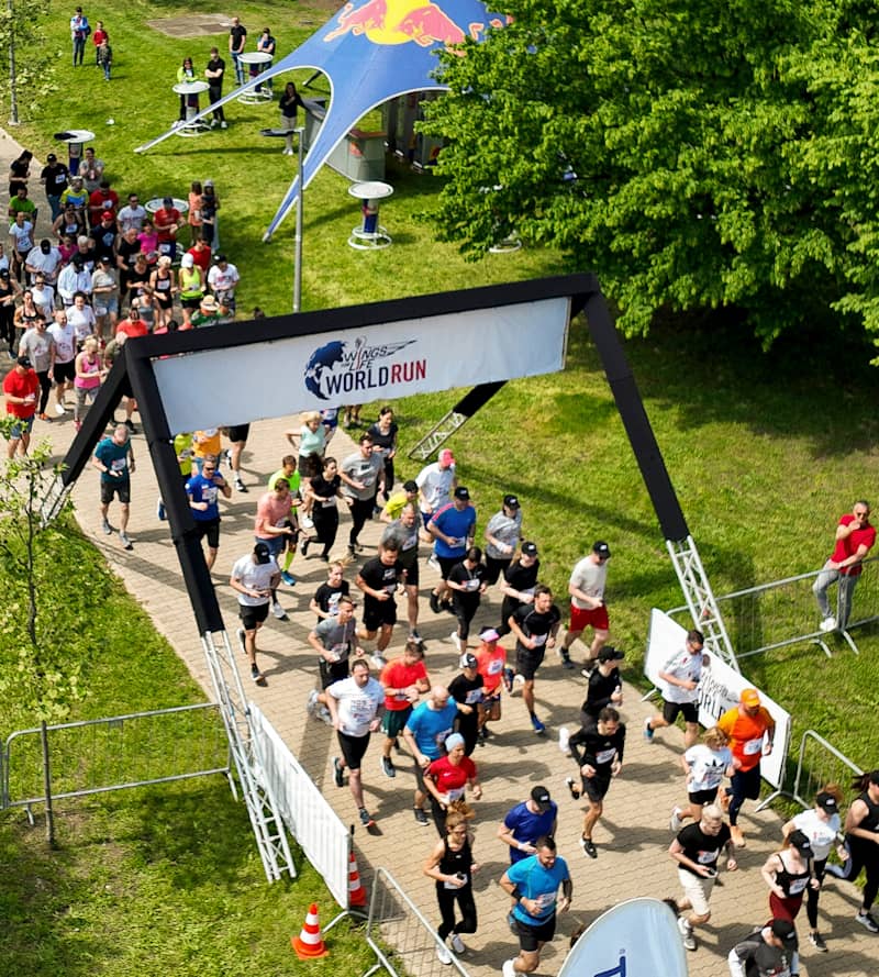 Wings for life world run shop online