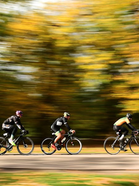 A group of cyclists cycle in Windsor Park in England.