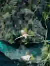 Así es el Red Bull Cliff Diving