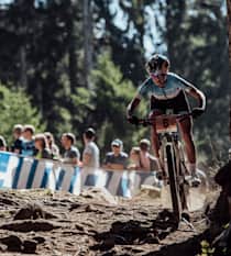 Best cross clearance country mtb 2019