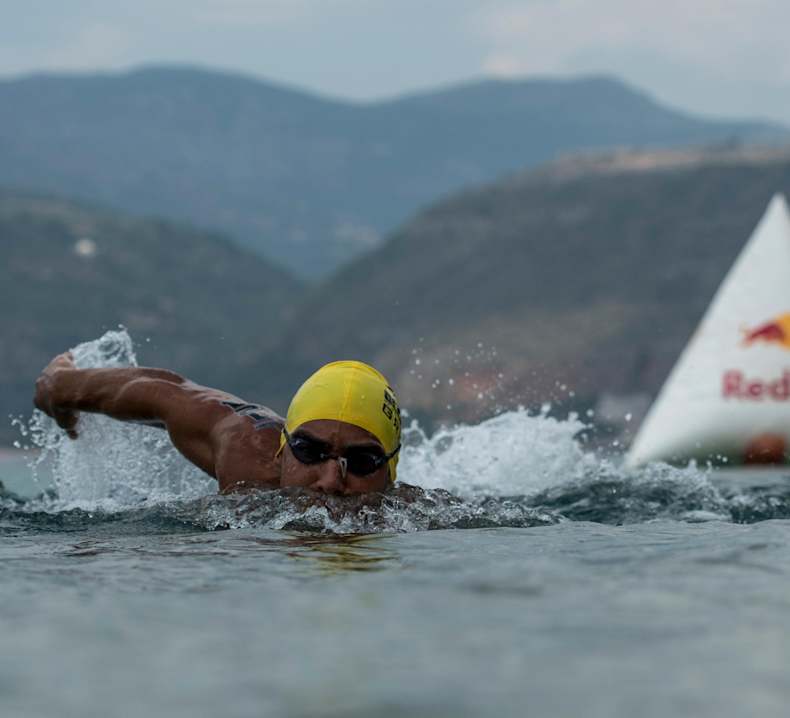 Swimming Red Bull