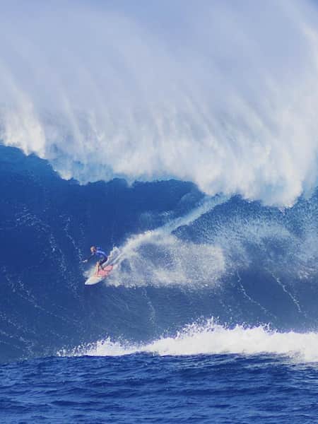 Shane dorian jaws discount