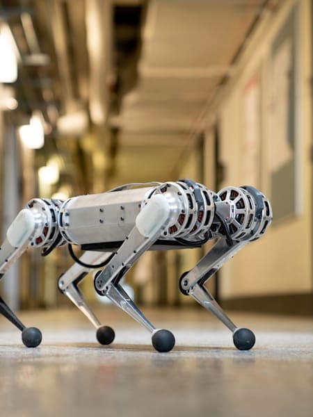 Innovative robots inspired by animals | Red Bull Tech