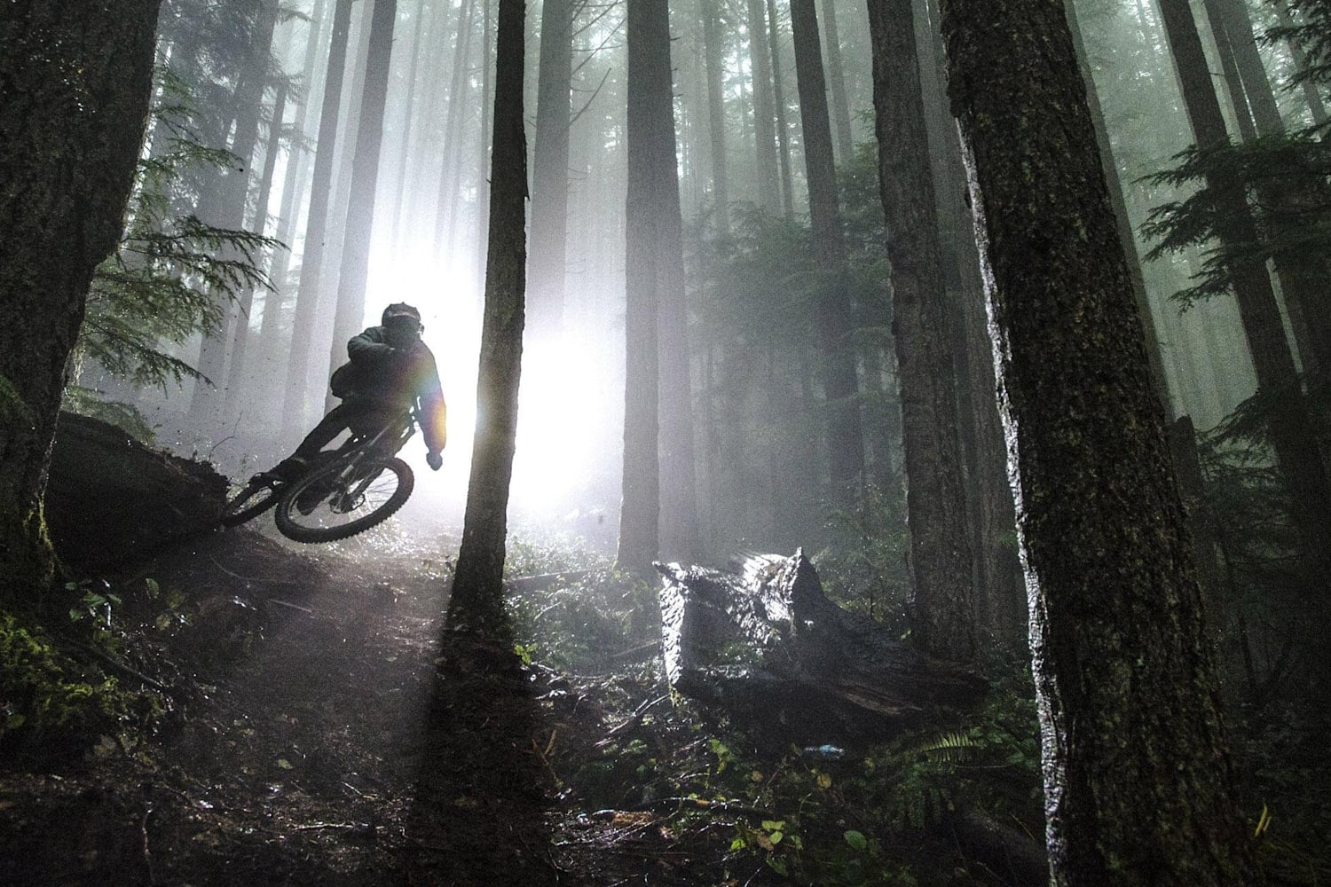 best canadian mountain bikes