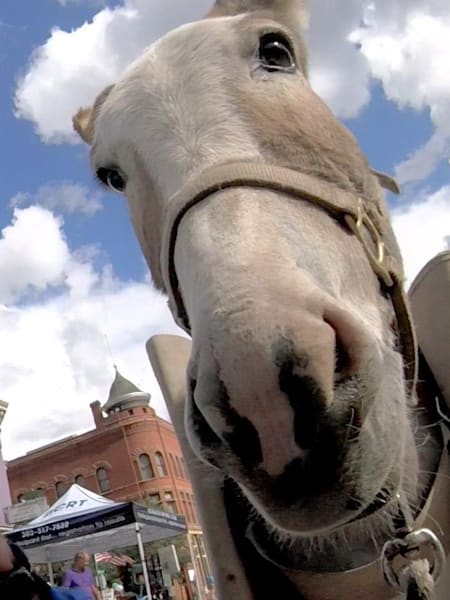 Tarquin y Marsha en Leadville