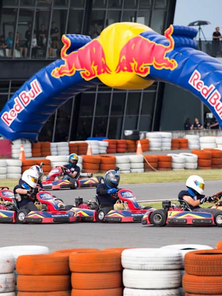 Compter jusqu'à 10: Course avec des Koalas en Karting sur